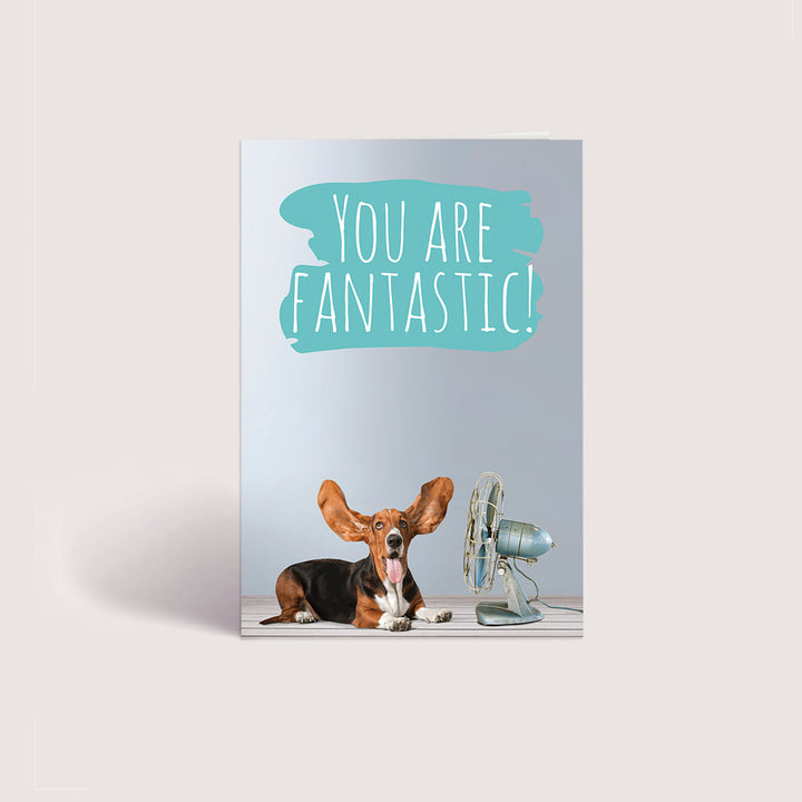 Welcome 1 - Dog- PACKS