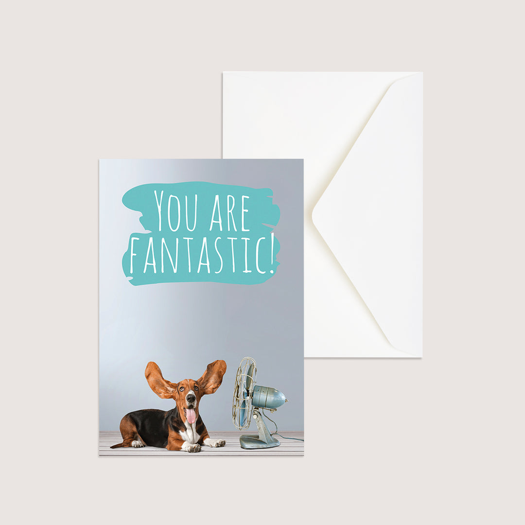 Welcome 1 - Dog- PACKS