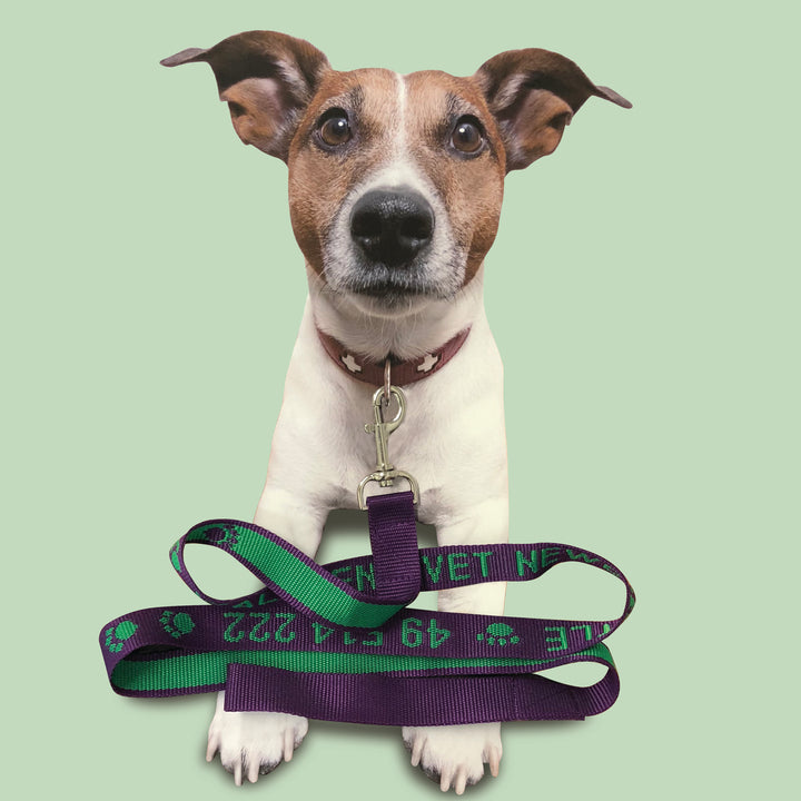 Dog Leads - Custom Woven