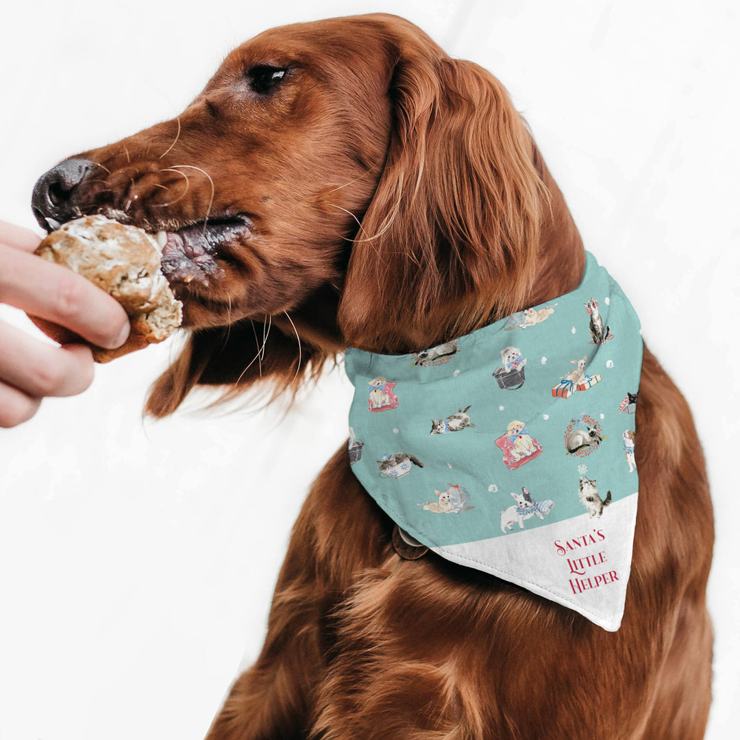 Christmas Bandana – Santa&