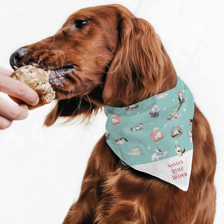 Christmas Bandana – Santa&