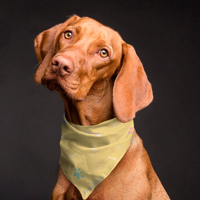 Bandanas - Pastel Coloured Set of 4