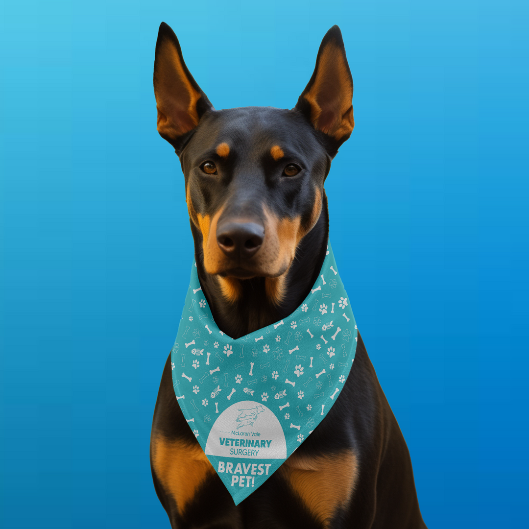 Custom Bandana - Triangle