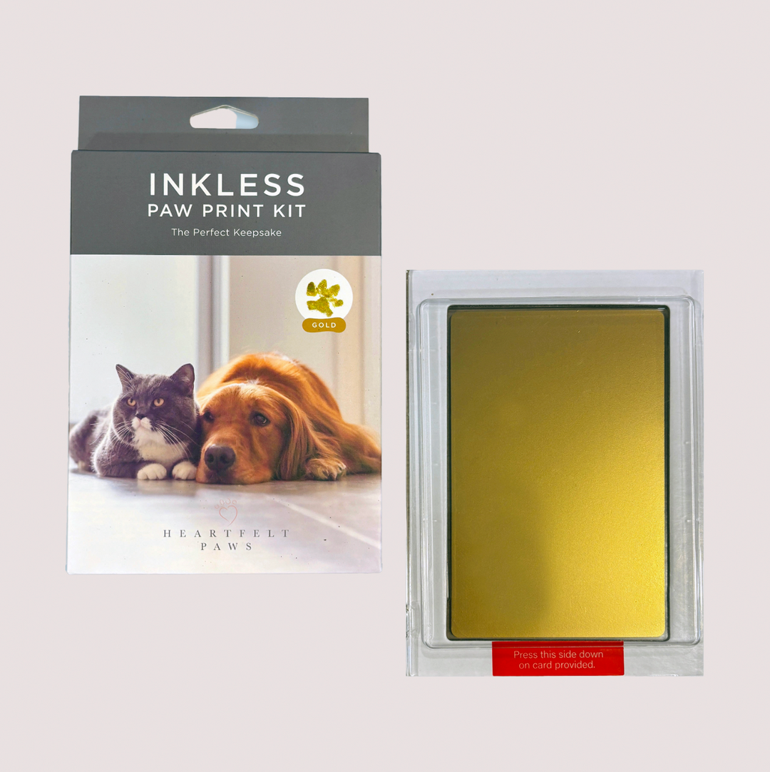 Heartfelt Paws Inkless Pawprint Keepsake - Gold