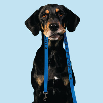 Dog Leads - Custom Screenprinted