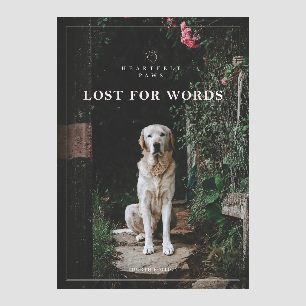 Lost For Words Booklet - Fourth Edition