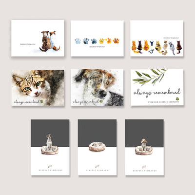 Watercolour Variety Pack of 100