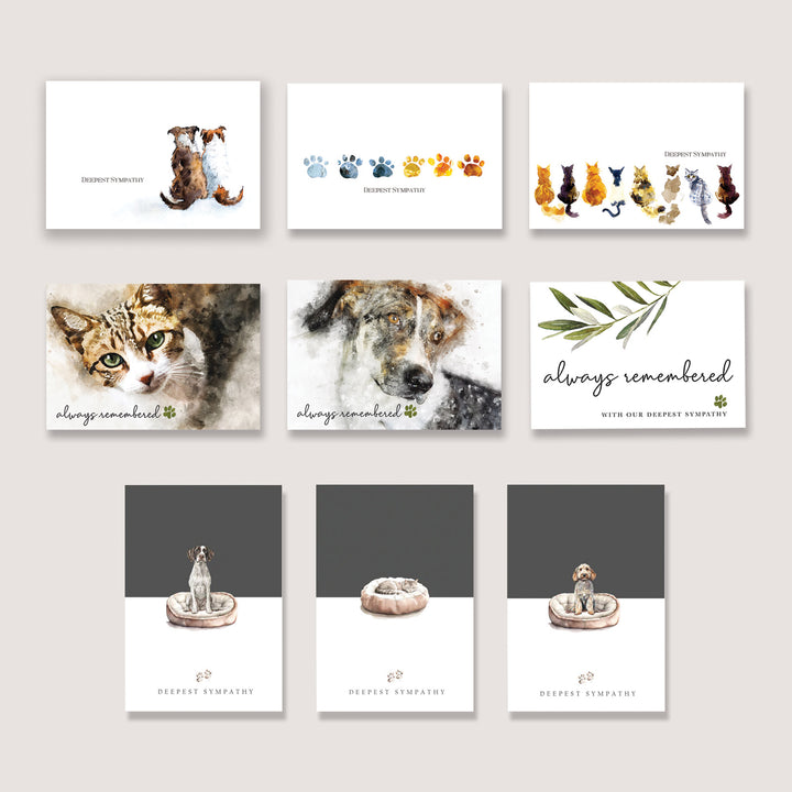 Watercolour Variety Pack of 100