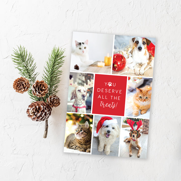 Blank Christmas Card - All the Treats (10 Pack)