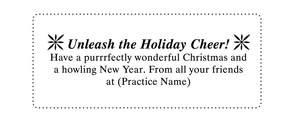 Custom Printed Christmas Card Packs - Santa&