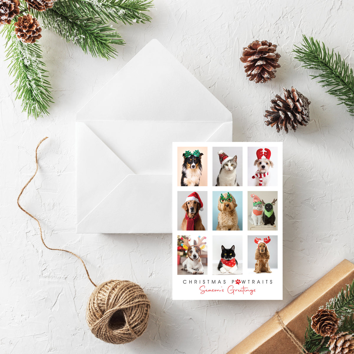 Blank Christmas Card - Christmas Pawtraits (10 Pack)