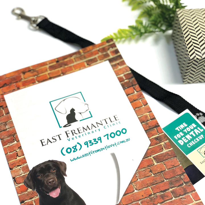 Presentation Folders Cardboard - A4