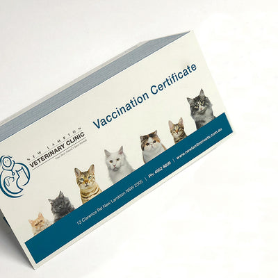 Vaccination Certificates - A4