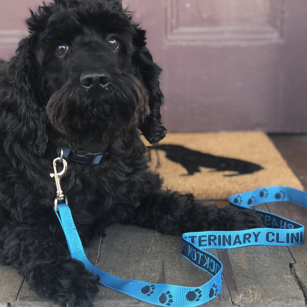 Dog Leads - Custom Woven