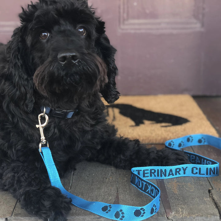 Dog Leads - Custom Woven