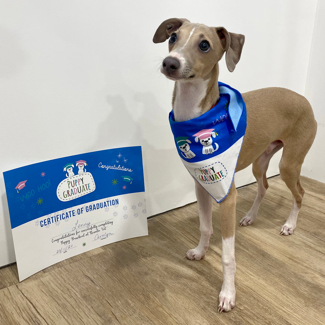 Puppy Graduate Certificate - Woo Hoo