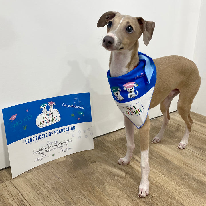 Puppy Graduate Certificate - Woo Hoo