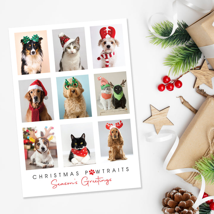 Blank Christmas Card - Christmas Pawtraits (10 Pack)