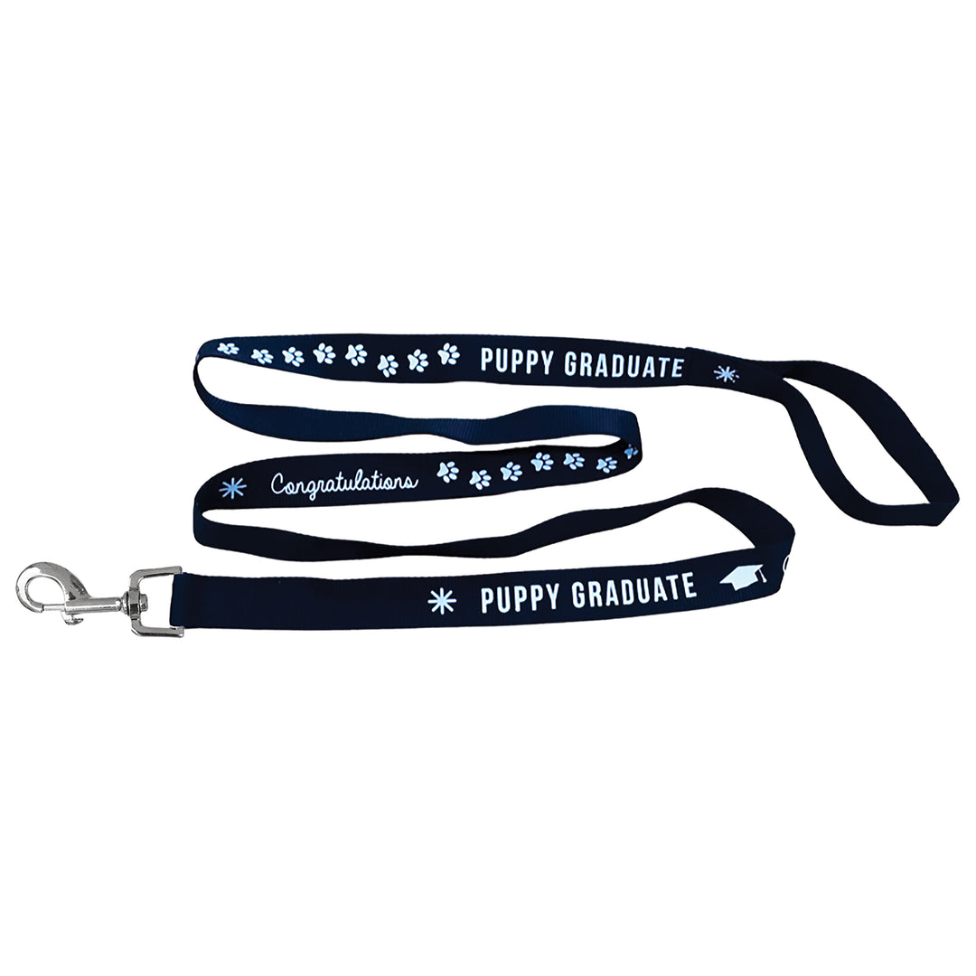 Dog Lead - Stock Puppy Graduate