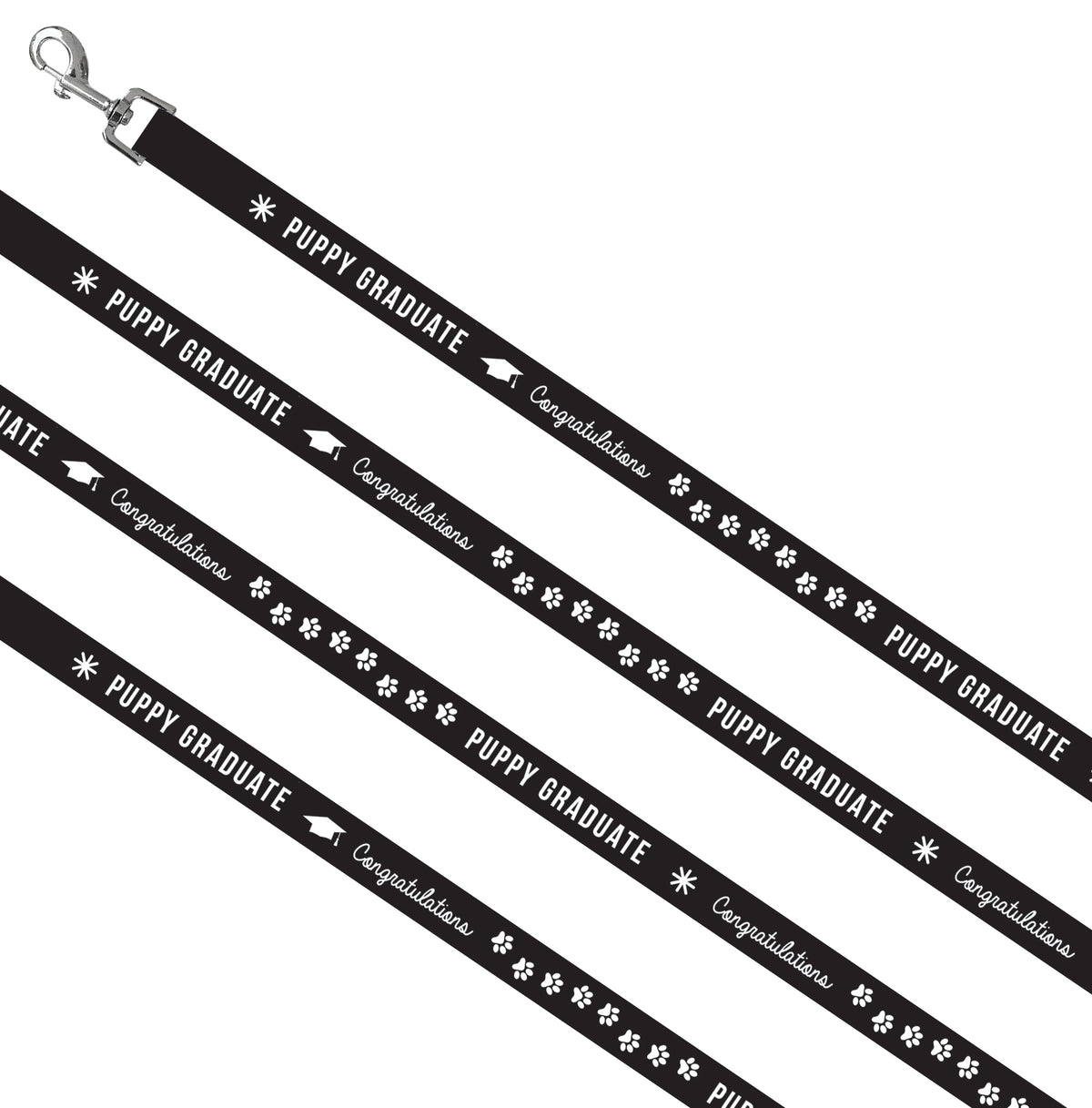 Dog Lead - Stock Puppy Graduate