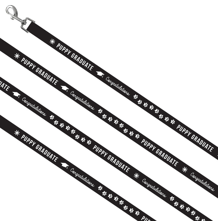 Dog Lead - Stock Puppy Graduate