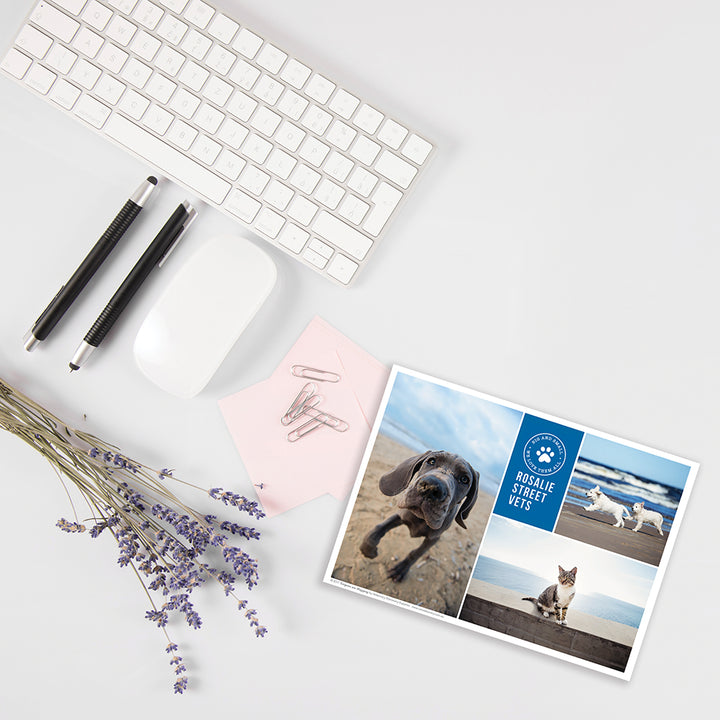 Client Reminders - Postcards