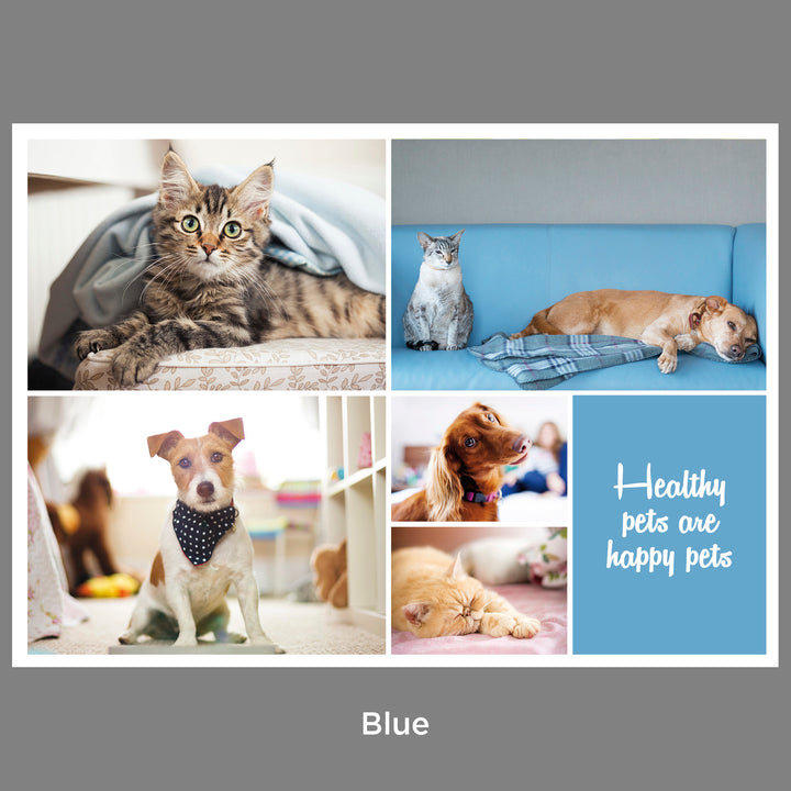 Client Reminders - Postcards