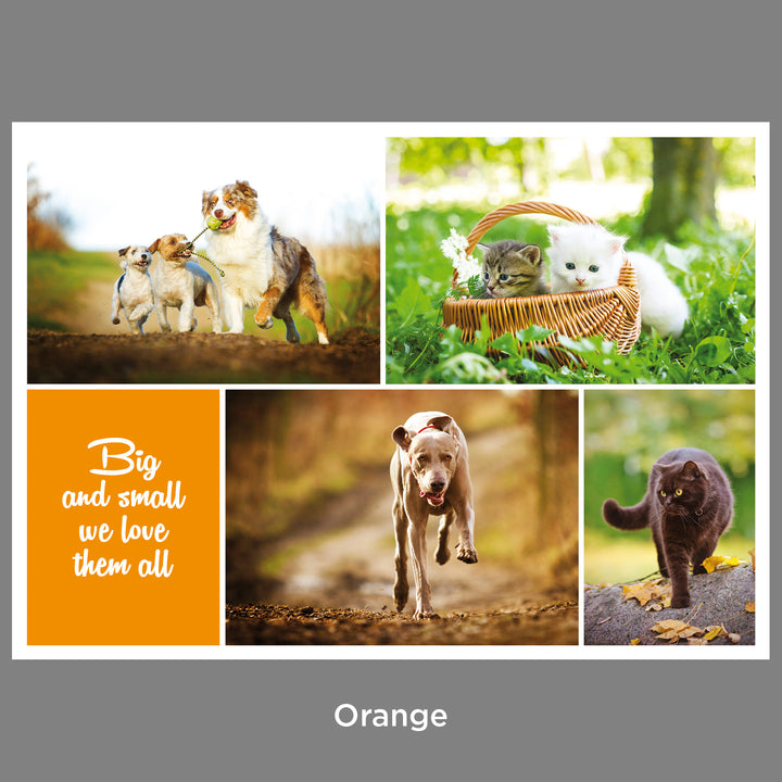 Client Reminders - Postcards