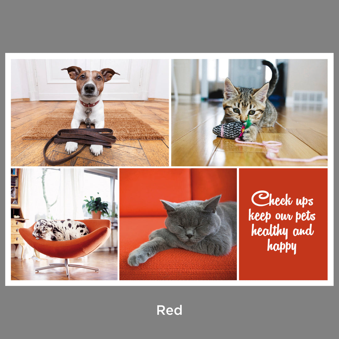 Client Reminders - Postcards