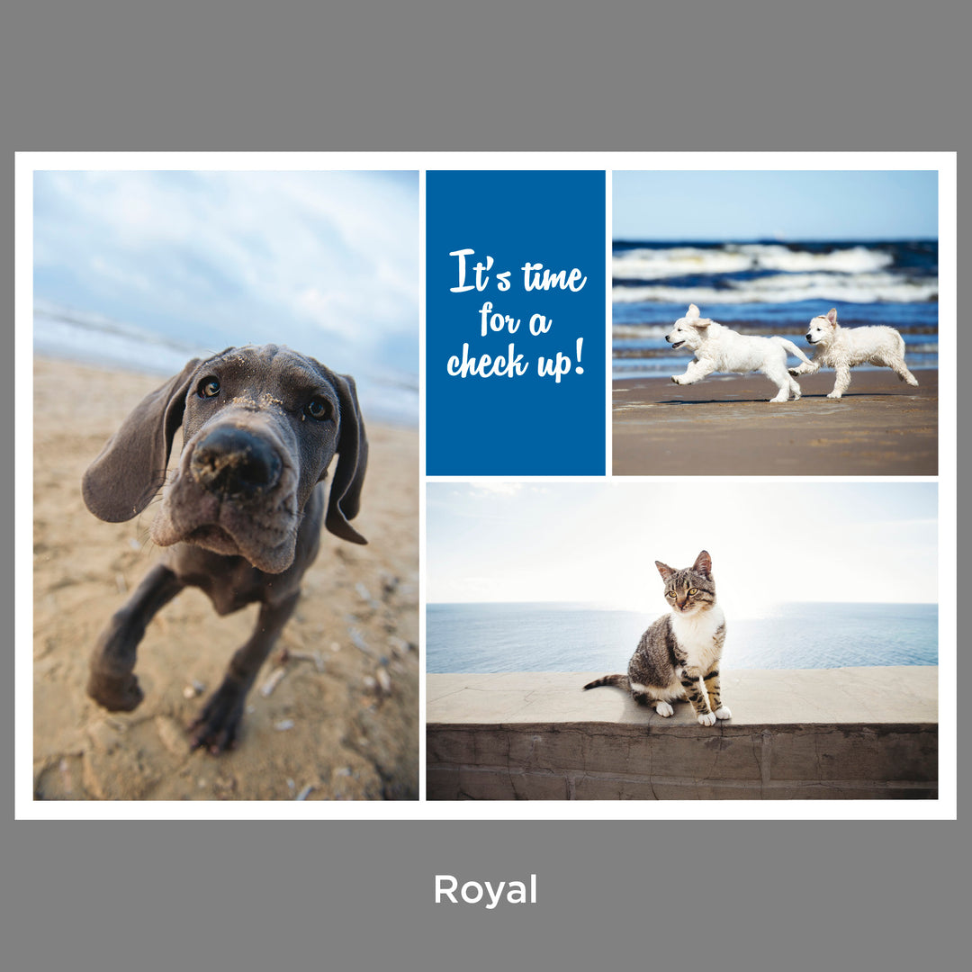 Client Reminders - Postcards