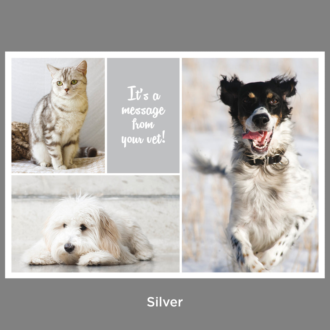 Client Reminders - Postcards