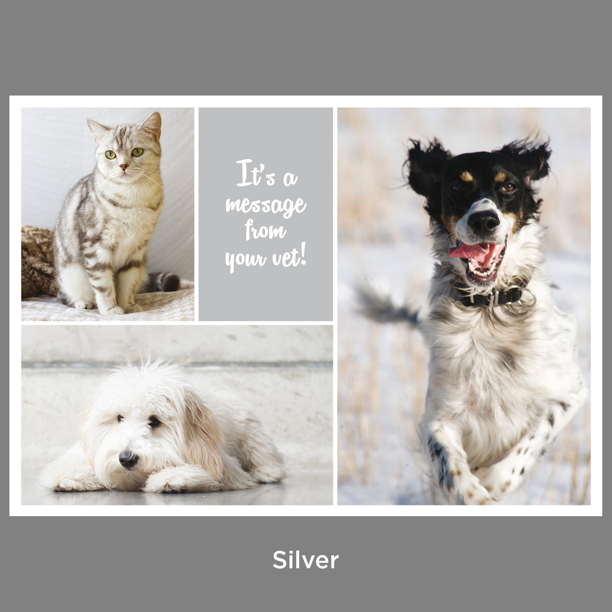 Client Reminders - Postcards