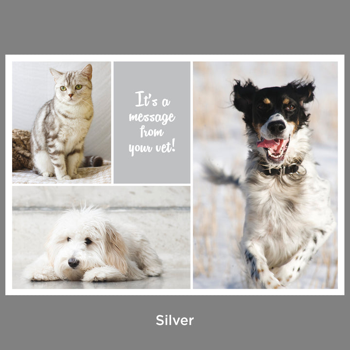 Client Reminders - Postcards