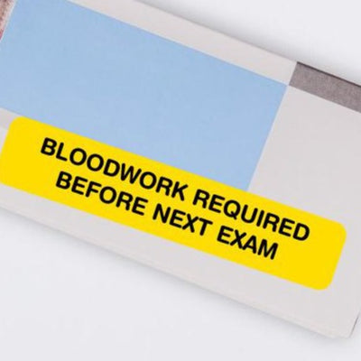 STOCK STICKERS - Bloodwork required before next exam