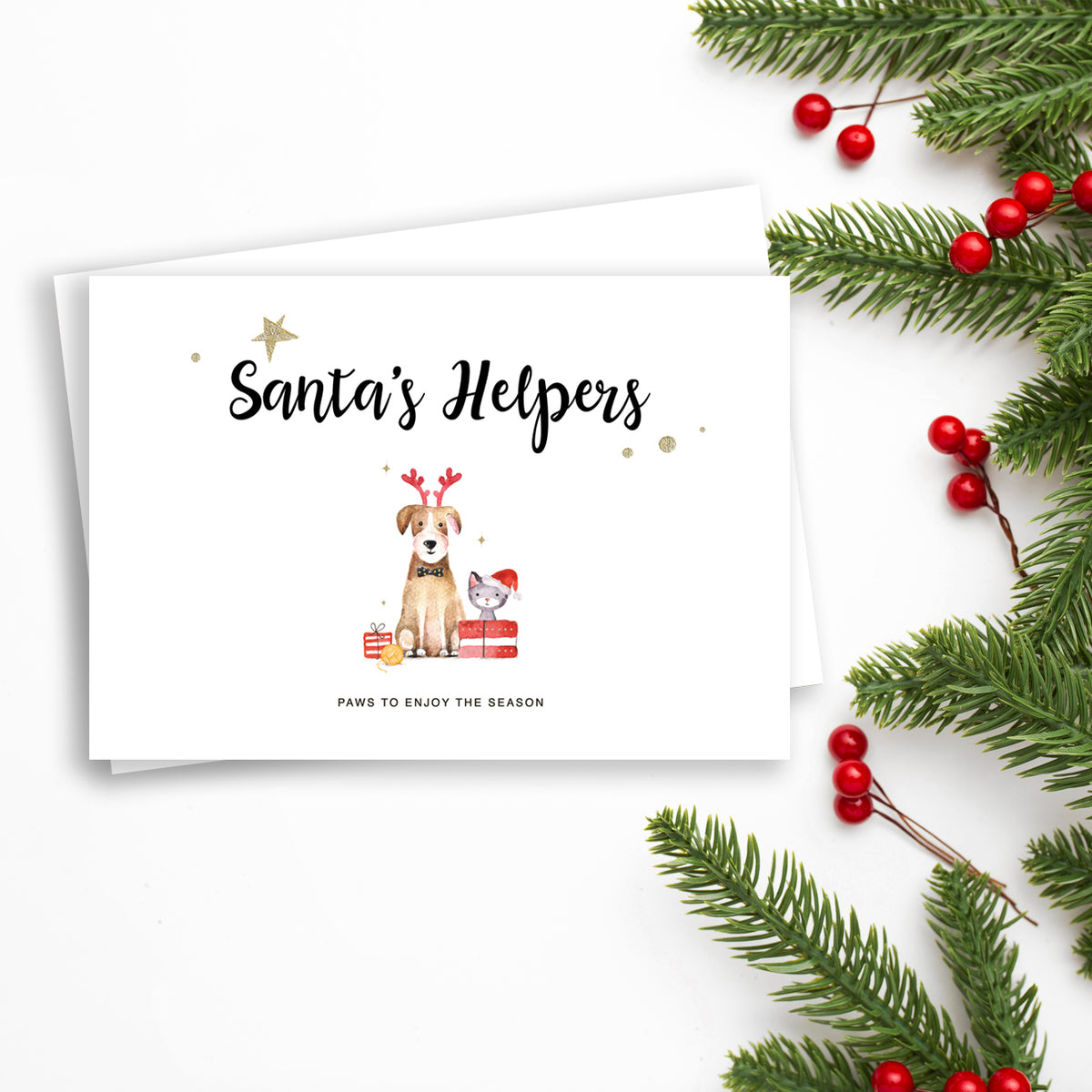 Blank Christmas Card - Santa&