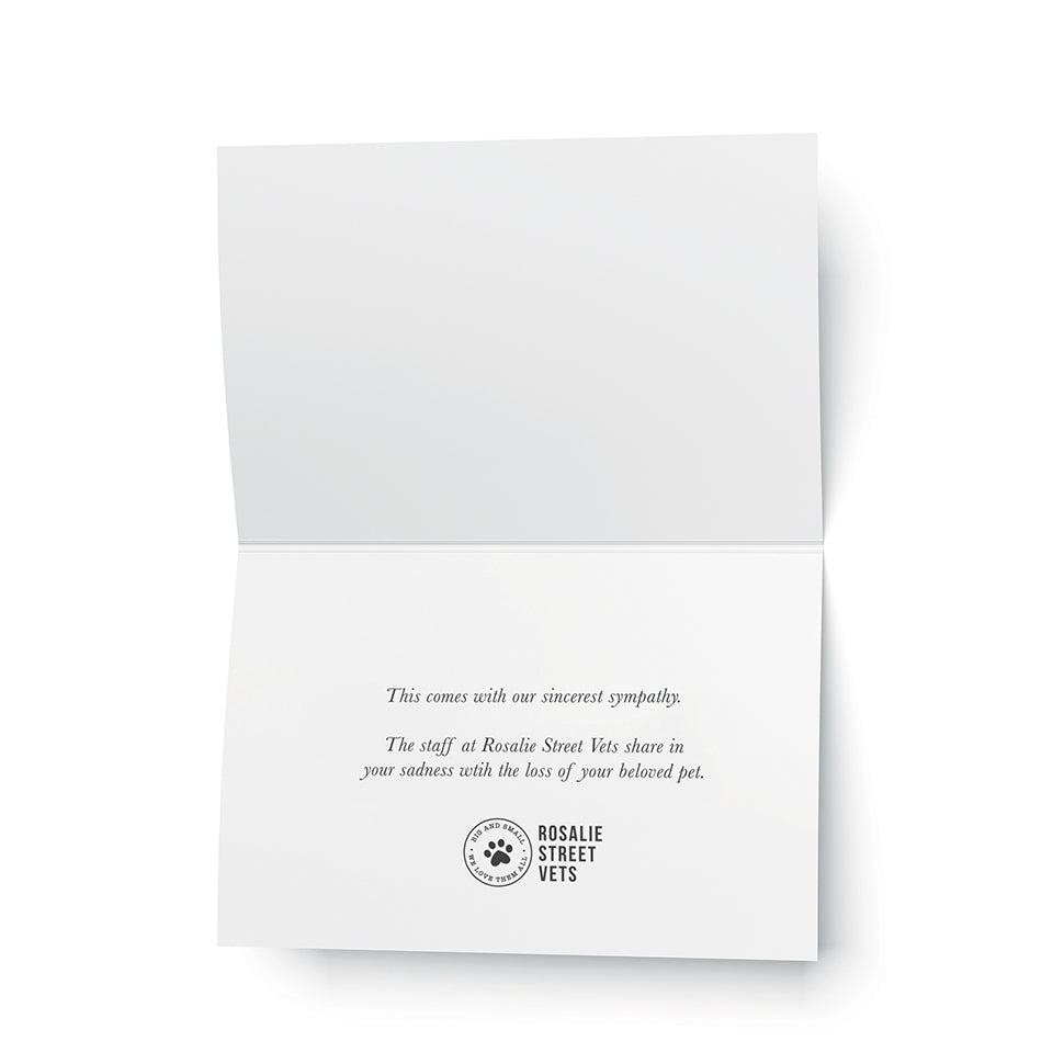 Custom Printing for Cards