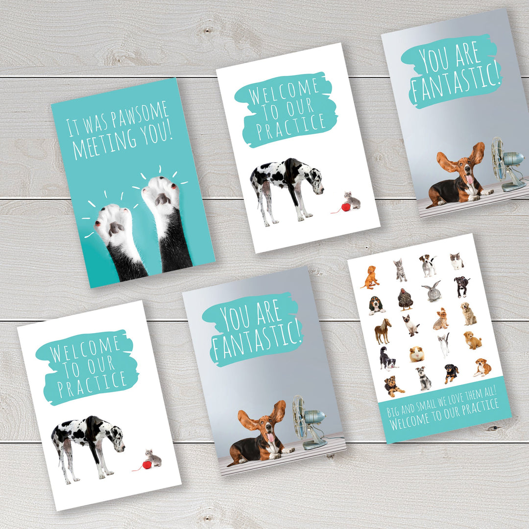 Welcome 1 - Dog- PACKS