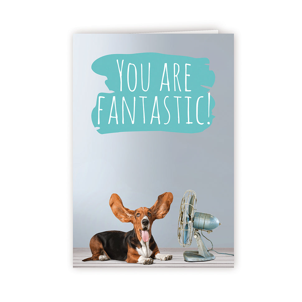 Welcome 1 - Dog- PACKS