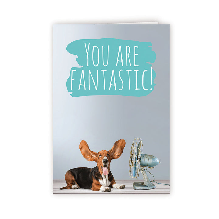 Welcome 1 - Dog- PACKS