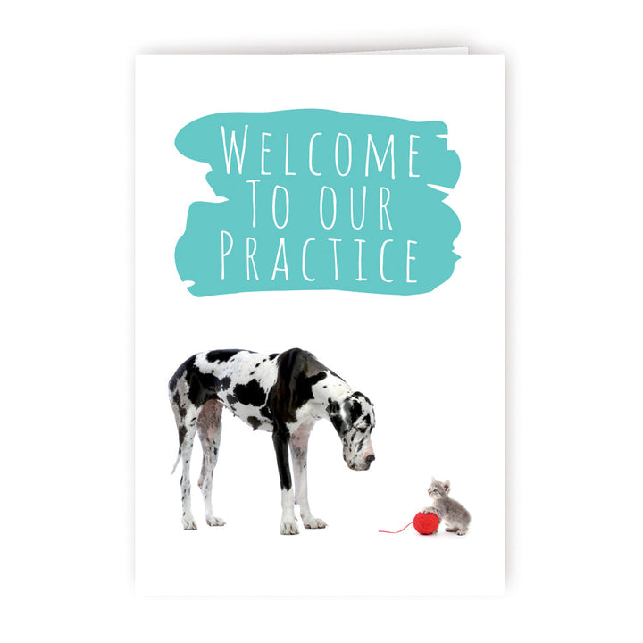 Welcome 4 - Great Dane &amp; Kitten - PACKS