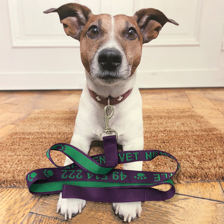 Dog Leads - Custom Woven