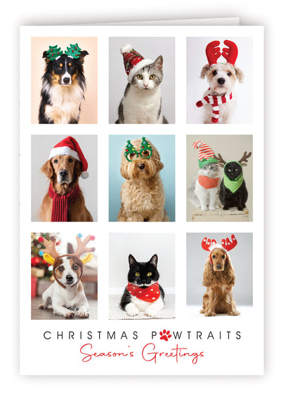 Blank Christmas Card - Christmas Pawtraits - WHOLESALE